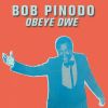 Download track Obeye Dwe