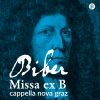 Download track Missa Ex B: XXII. Sanctus (Live At Melk Abbey, 5 / 30 / 2004)