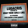 Download track What Them Girls Like (Instrumental)