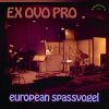 Download track European Spassvogel