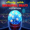 Download track Binaural Beats For Concentration Effective Learning