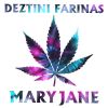 Download track Mary Jane (Instrumental)