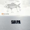 Download track Salpa