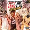 Download track City Of Gangster