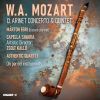 Download track Clarinet Quintet In A Major, K. 581 Allegretto Con Variazioni'