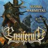 Download track Congratulation Song (For Ensiferum)