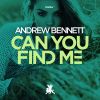 Download track Can You Find Me (Original Mix)