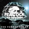 Download track Rise Of The Forgotten