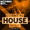 Download track House Is A Feeling (Original Mix)