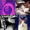 Download track Energetic Ambiance For Cute Cats