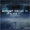 Download track Wouldn't You Like To Be A Hoe Too (Remix)