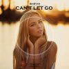 Download track Can't Let Go (Original Mix)