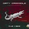 Download track Dirty Crocodile