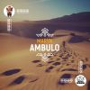 Download track Ambulo (Extended Mix)