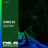 Download track Destiny (Extended Mix)