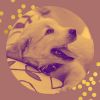 Download track Bubbly Music For Doggy Mental Health