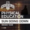 Download track Sun Going Down (Dub Mix)