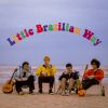 Download track Little Brazilian Way