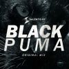 Download track Black Puma