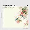 Download track Valhalla