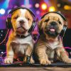 Download track Soothing Sounds Dogs