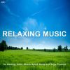 Download track Beautiful Relaxing For Stress Relief