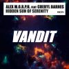 Download track Hidden Sun Of Serenity (Original Mix)