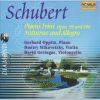 Download track G. Oppitz, D. Sitkovetzky, D. Geringas - Schubert - Piano Trio Op. 100 In E Flat Major