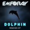 Download track Dolphin