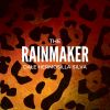 Download track The Rainmaker