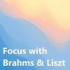 Download track 6 Consolations, S. 172: No. 3 In D Flat Major (Lento, Placido)