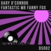 Download track Fantastic Mr Fanny Fox (Original Mix)