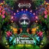 Download track Analog Karma