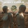 Download track Wish I Could