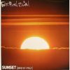 Download track Sunset (Bird Of Prey) (Darren Emerson Remix)