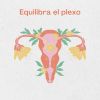 Download track Equilibra El Plexo