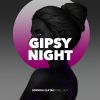 Download track Gipsy Night (Plastic Mix)