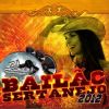 Download track BAILAO SERTANEJO 01