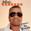 Download track O Cantor Das Madrugadas