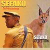 Download track Sentebale