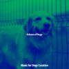 Download track Trio Jazz Soundtrack For Training Dogs