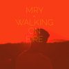 Download track Walking On Fire (La Felix Remix)