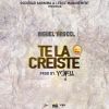 Download track Te La Creíste