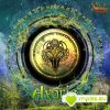 Download track Tales Of Ancient Forest