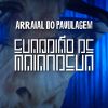 Download track Guardião De Maiandeua