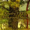 Download track Soothing Melodic Ambience