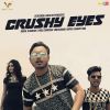 Download track Crushy Eyes