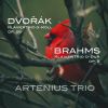 Download track Johannes Brahms Trio H-Dur Für Violine, Violoncello Und Klavier, Op. 8 (Fassung Von 1889), 2023001 III. 3. Adagio