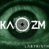 Download track Labyrinth