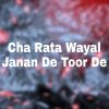 Download track Cha Rata Wayal Janan De Toor De